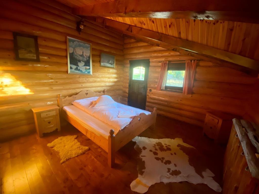 Cabana Vanatorului Rîşnov Екстериор снимка