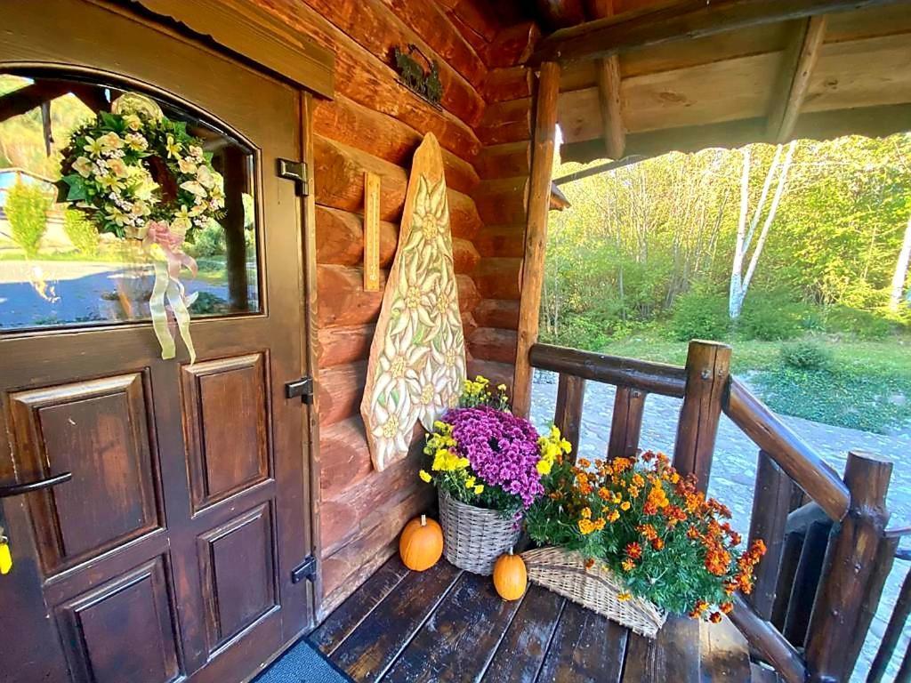 Cabana Vanatorului Rîşnov Екстериор снимка