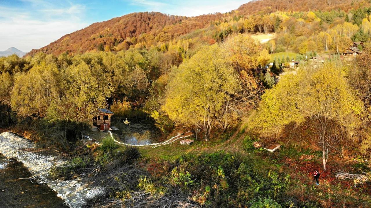 Cabana Vanatorului Rîşnov Екстериор снимка
