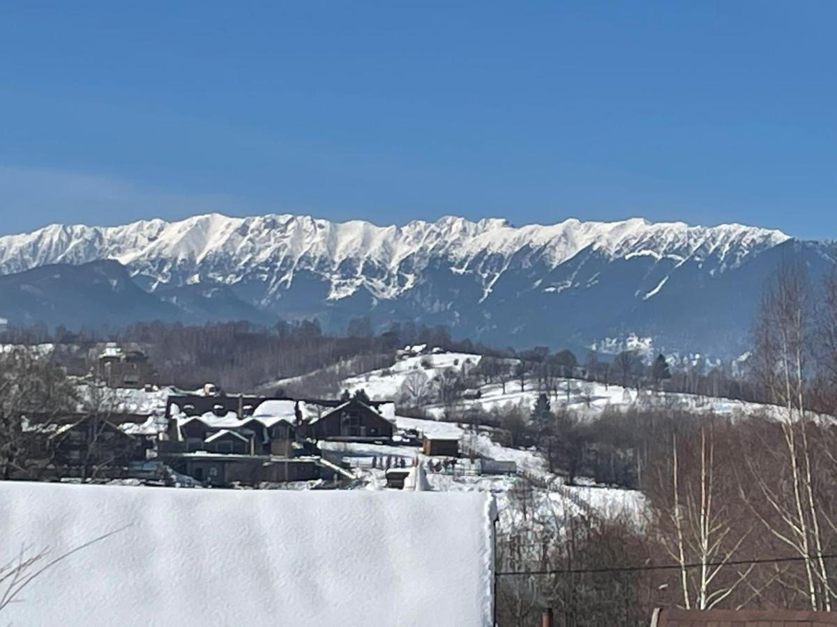 Cabana Vanatorului Rîşnov Екстериор снимка