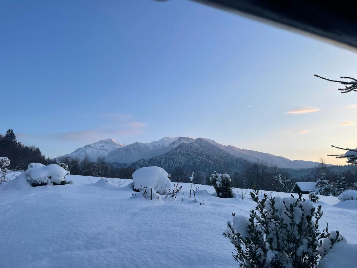 Cabana Vanatorului Villa Rîşnov Екстериор снимка