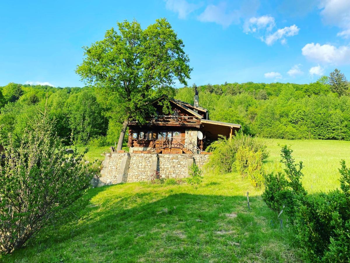 Cabana Vanatorului Rîşnov Екстериор снимка