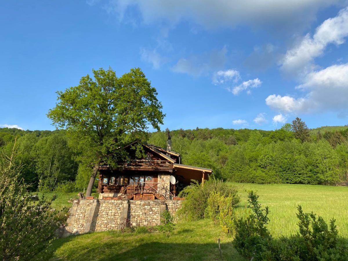 Cabana Vanatorului Rîşnov Екстериор снимка