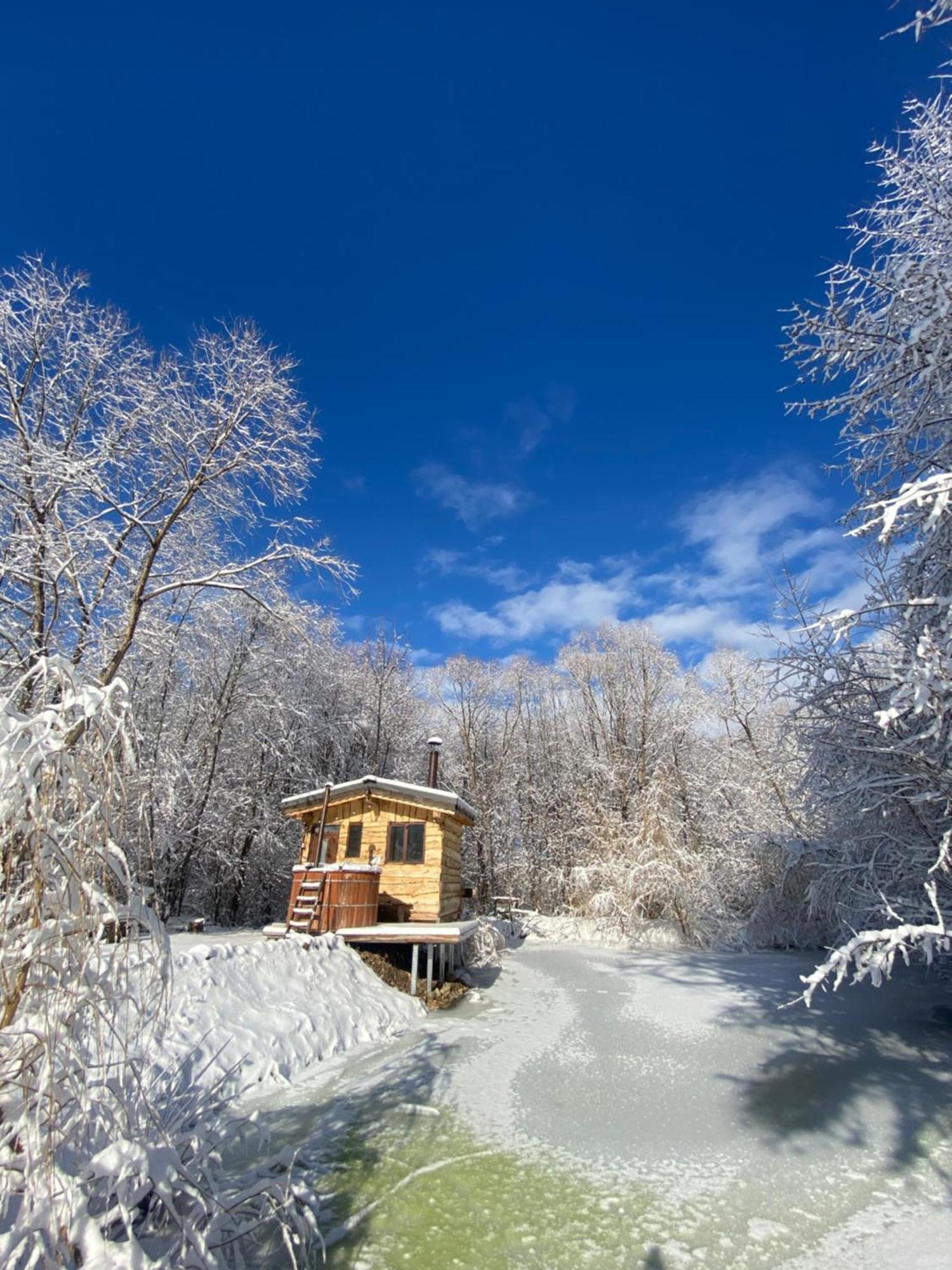 Cabana Vanatorului Villa Rîşnov Екстериор снимка