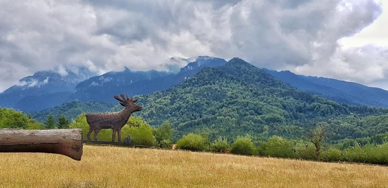 Cabana Vanatorului Villa Rîşnov Екстериор снимка