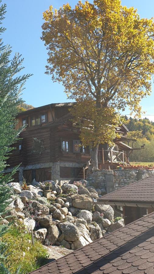 Cabana Vanatorului Rîşnov Екстериор снимка