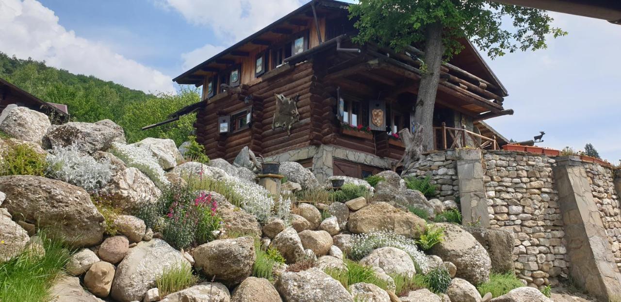 Cabana Vanatorului Rîşnov Екстериор снимка